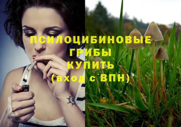 гидропоника Верея