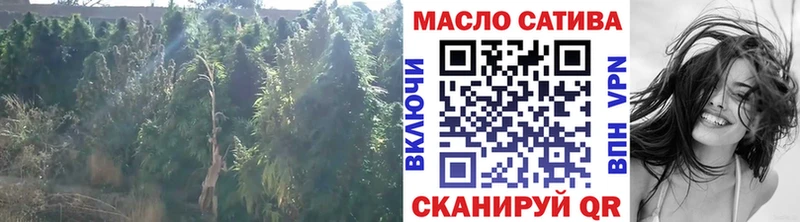blacksprut как войти  Вязьма  ТГК вейп с тгк 