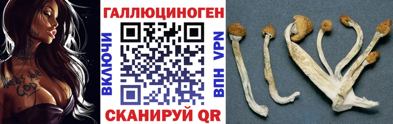 цена наркотик  Вязьма  Галлюциногенные грибы MAGIC MUSHROOMS 